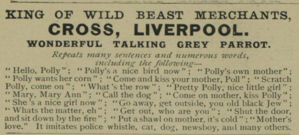 Parrot advertThe Illustrated London News September 30 1905